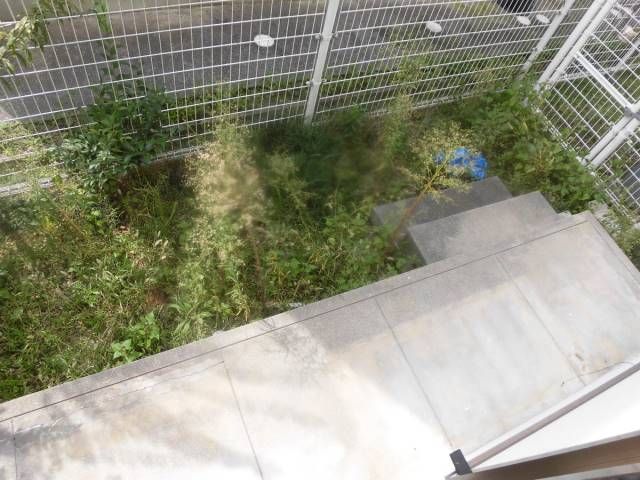 庭