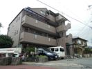 エルハ壱番館の外観画像