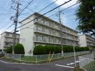 町田コープタウン11号棟（2026年7月31日まで定期借家）の外観画像