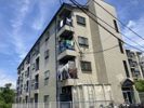 ロイヤルメゾン出戸の外観画像
