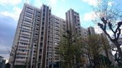 住吉第弐団地壱壱号棟の外観画像