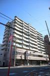グランドール杉の木の外観画像