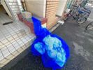 ウィスタリア夕凪の外観画像