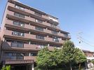 セレッソ今川の外観画像