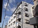 新深江ツリガミビルP－1の外観画像