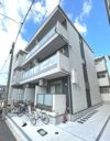 F asecia stibの外観画像