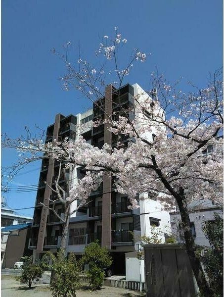 studio-Iの外観画像