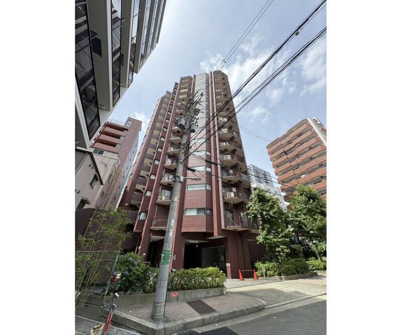 ライオンズマンション天王寺501号室の外観画像