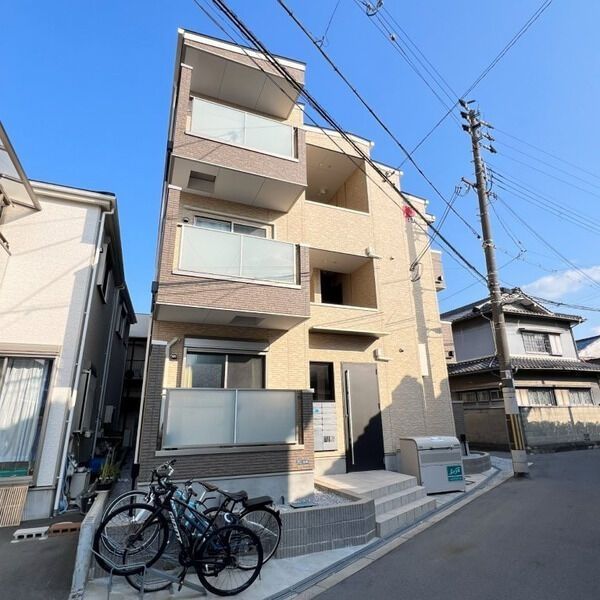 F asecia minosの外観画像