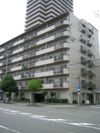 堂ヶ芝ビューハイツの外観画像