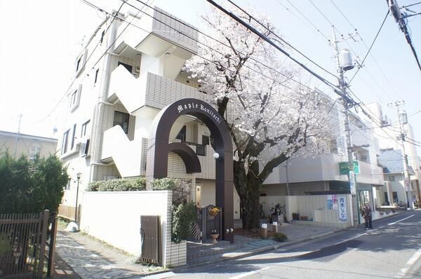 メイプル国立の外観画像