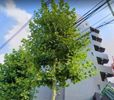 ロックハイツの外観画像