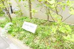 ウィスタリア フォレスト SOUTHの外観画像
