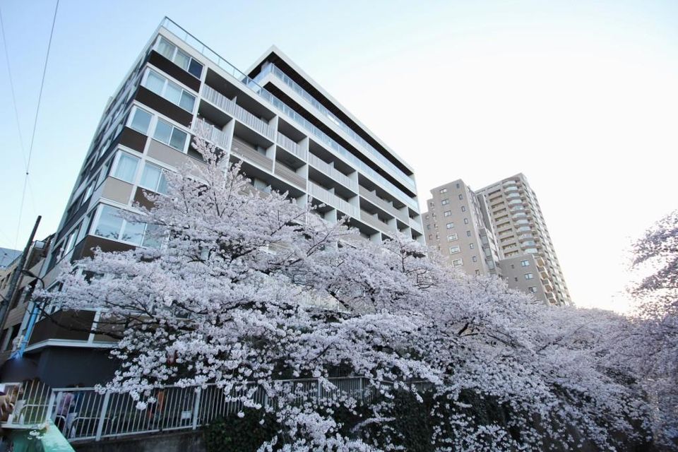 アールコート早稲田の外観画像
