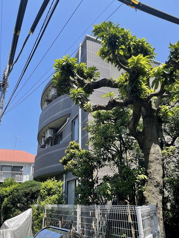 ハイマット旗の台の外観画像