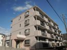 グラスィア新川崎の外観画像