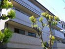 VIVI山本（ビビ山本）の外観画像