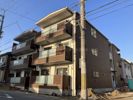 F asecia eratoの外観画像