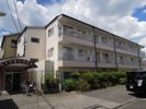 フジモトハイツA棟の外観画像