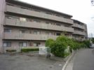 シャトレ高安の外観画像