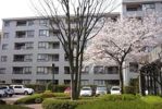 コープ野村鎌倉・台1号棟の外観画像