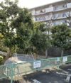 汲沢中団地2号棟の外観画像