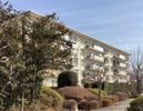 鳶尾団地 弐街区七号棟の外観画像
