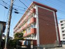 グリーンハイム野渡の外観画像