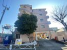 マルベリー平塚の外観画像