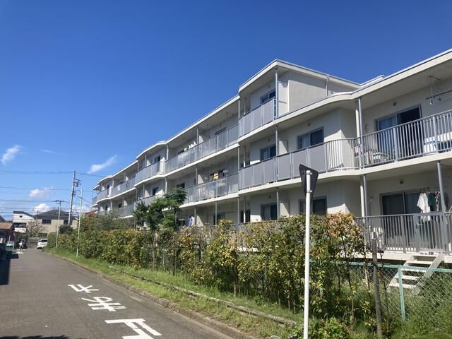 茅ヶ崎海岸松が丘ハイツD棟の外観画像