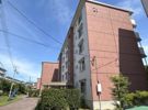 東高森団地21号棟の外観画像