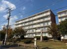 東高森団地18号棟の外観画像