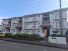 メープル湘南台の外観画像