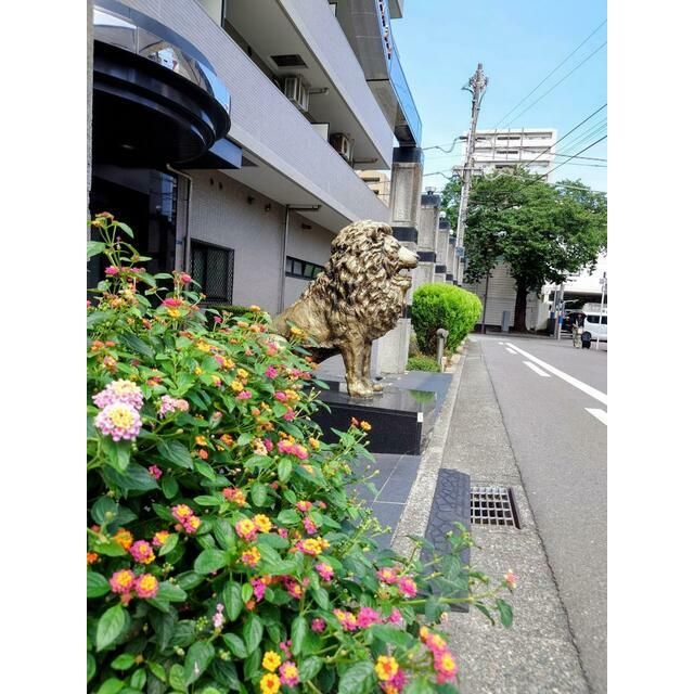 ライオンズプラザ平塚第2の外観画像