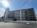 星和伊勢原マンションの外観画像