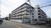 シャトー塚口 C棟の外観画像