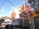 白鷹松下町マンションの外観画像