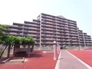 コート甲子園南1番館の外観画像