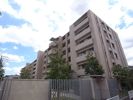ジェイグラン甲子園口天道町の外観画像