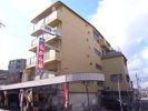 甲園ハイツの外観画像