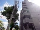 セントマルク熊内の外観画像