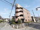トレビアン華の外観画像
