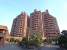 メゾン白鶴の外観画像