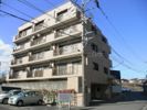 グレイス桜台の外観画像