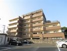 ヒルズ室見の外観画像