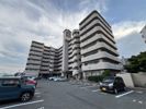 仮）東区松田3丁目マンションの外観画像