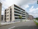 グランドオーク室見河畔の外観画像