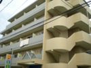 パインテール高宮東の外観画像