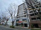 カーサアリエッタ大橋の外観画像