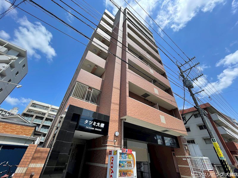 タツミ大橋の外観画像